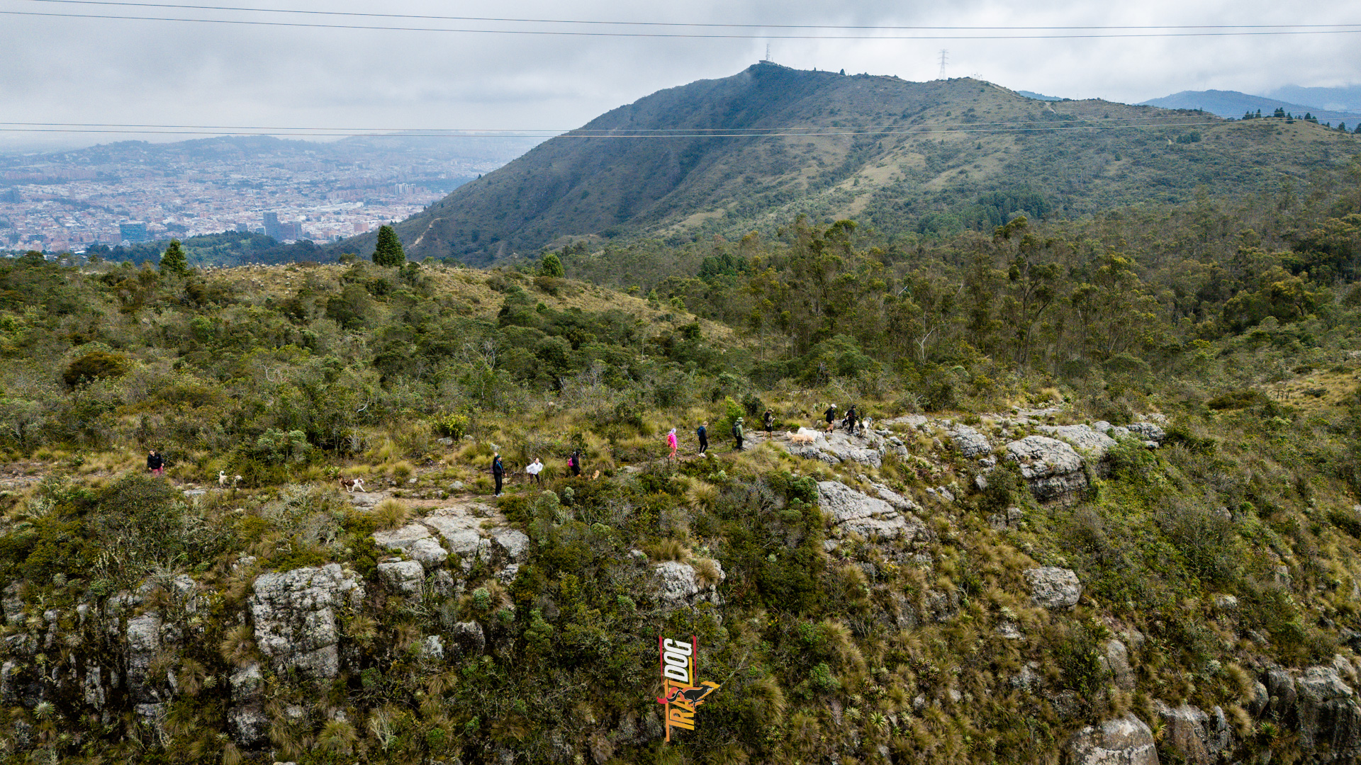 Grupo de Trail Dog Colombia caminando por una cresta de montaña con Bogotá al fondo