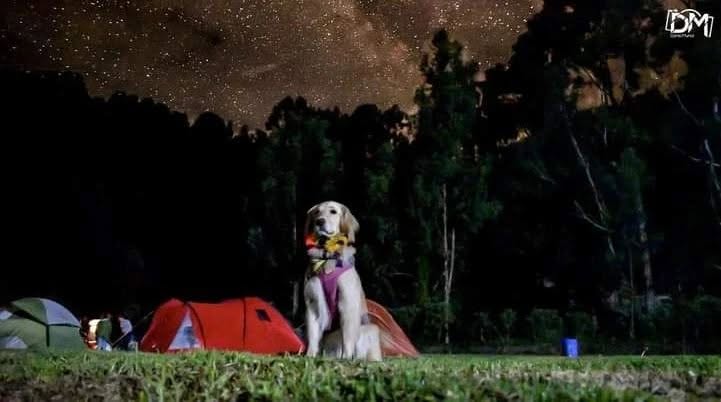 MIWA Trail Camp · Celebramos en Manada