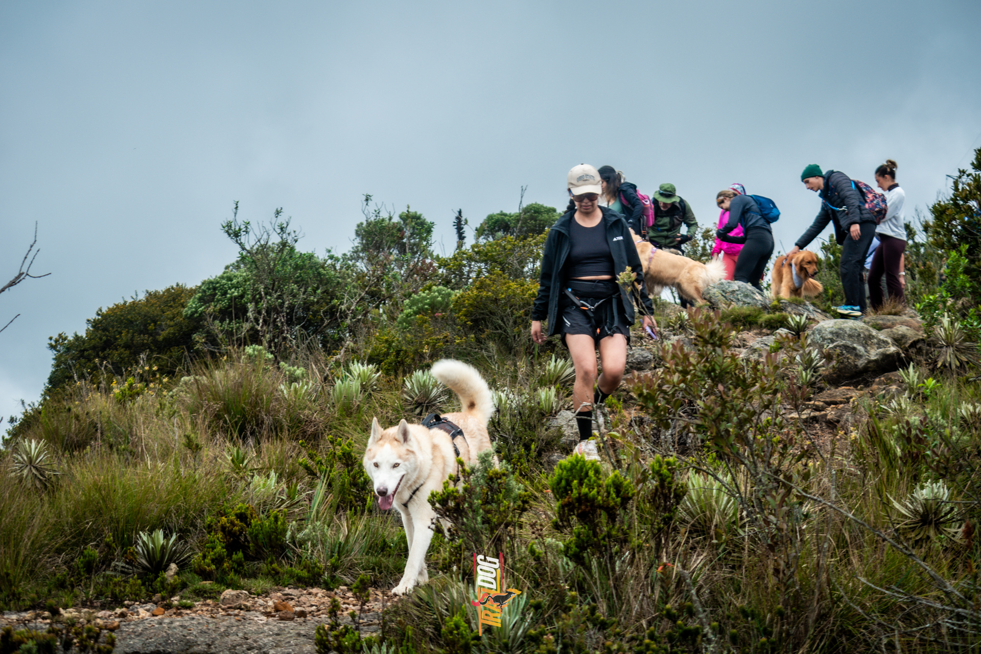 Caminata y Canitrail en Une