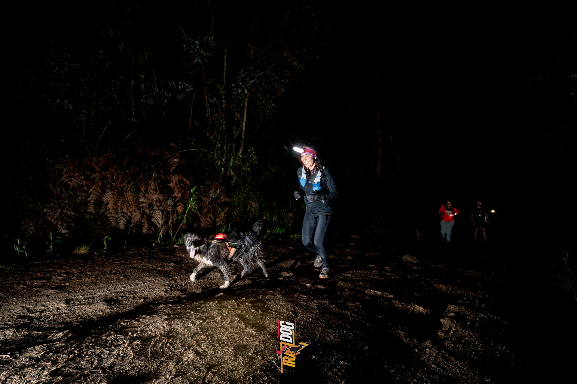 Caminata Nocturna y Trail Running 18K — Casa Trail Dog Colombia