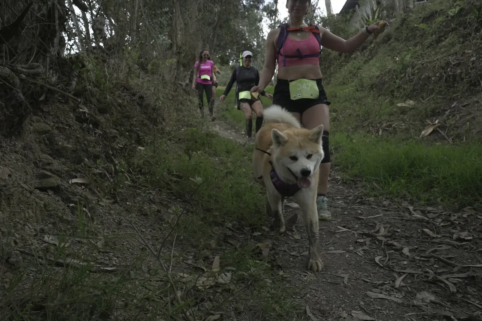 Entrenamiento Trail Running 16K con TYBA
